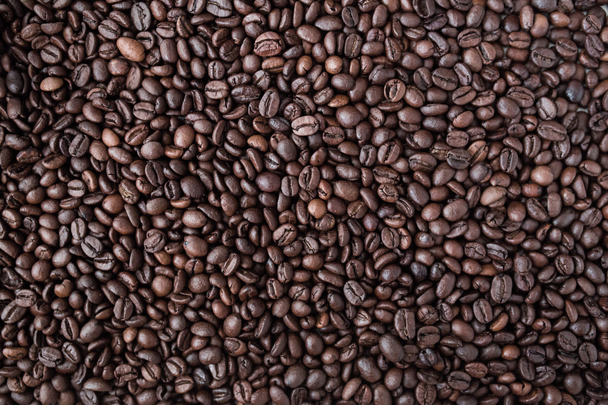 Dark Roast