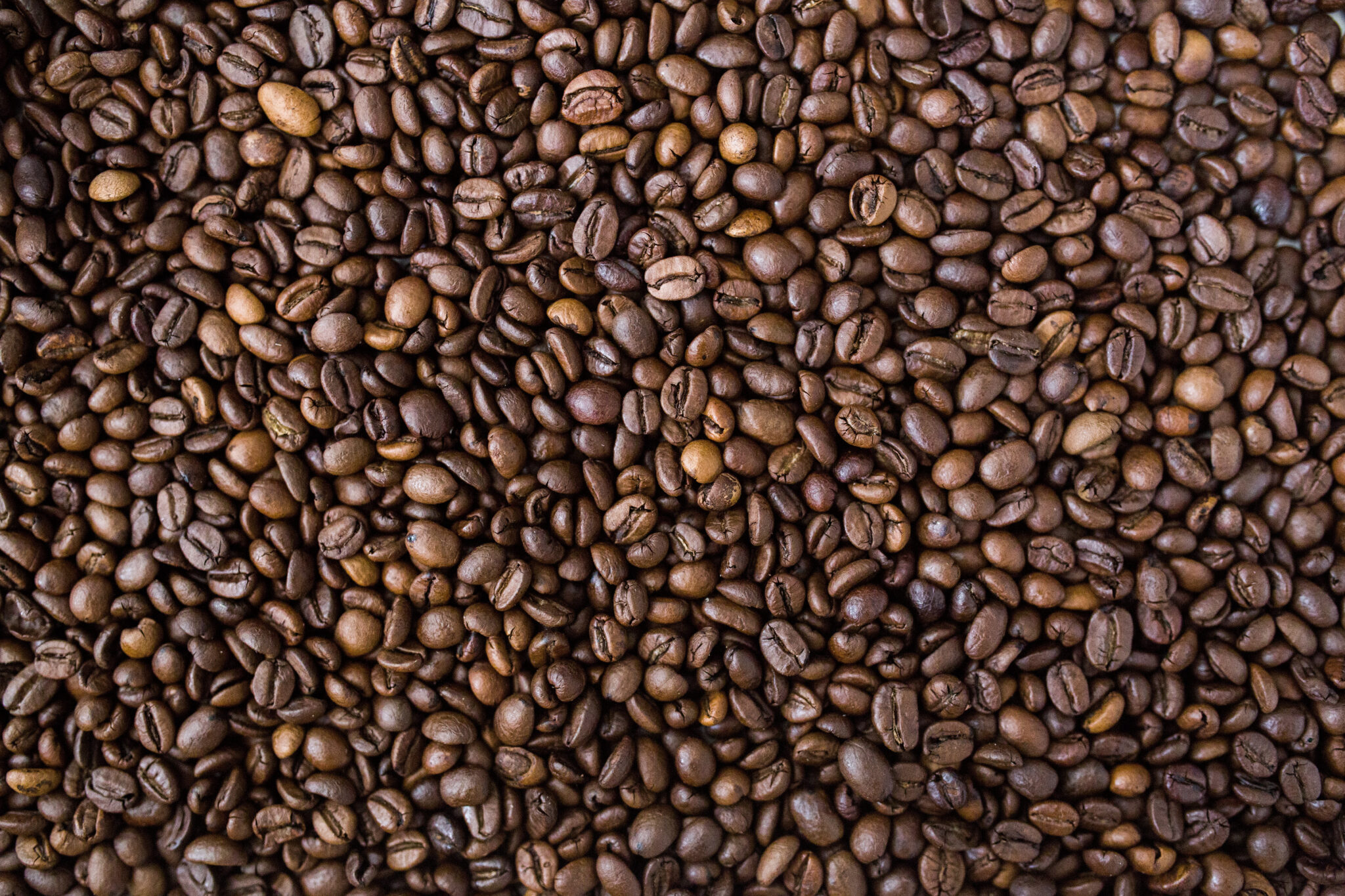 Light Roast