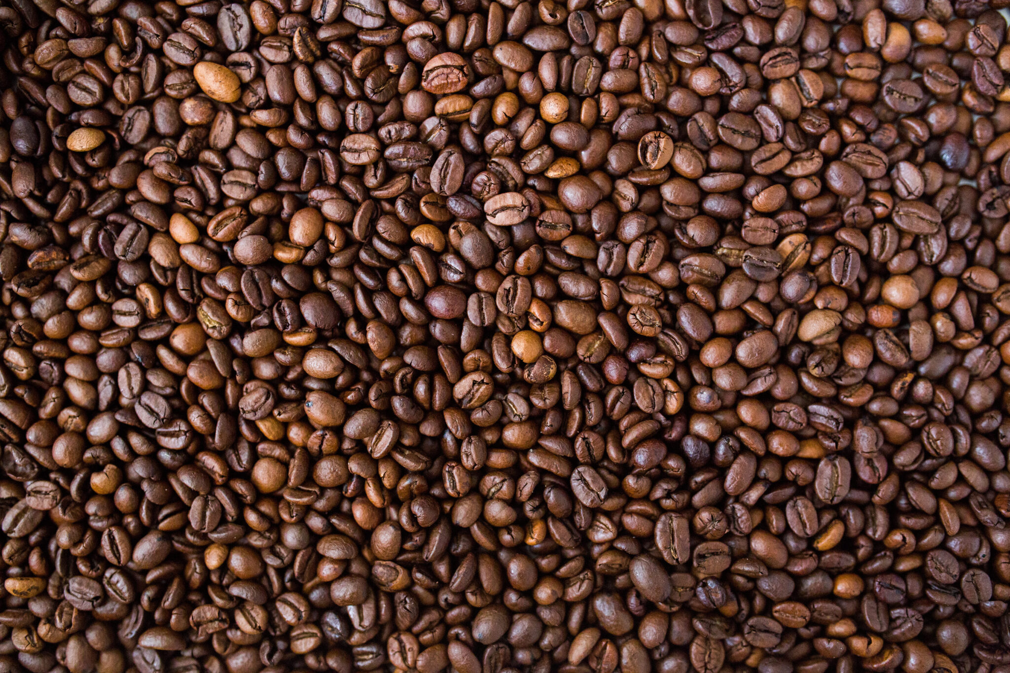 Medium Roast